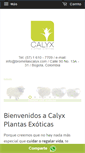 Mobile Screenshot of bromeliascalyx.com